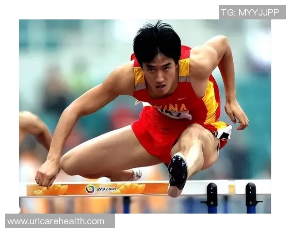 刘翔：从奥运金牌到人生新高峰的追梦之路