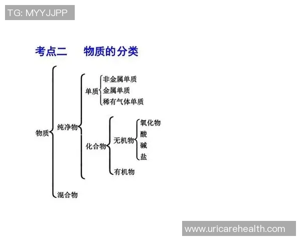 网球训练技巧全面提升：从基础动作到高级策略的系统化训练方案